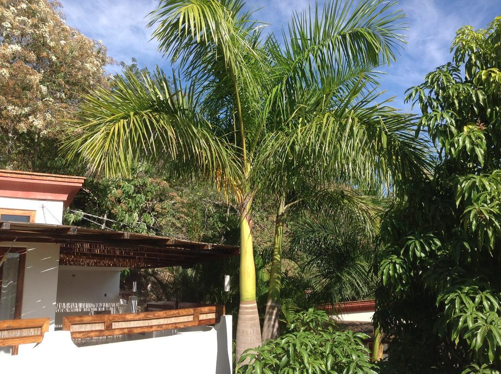 Hotel Casa Flor De Mar Zipolite Exterior foto